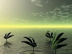 magnificent ocean water