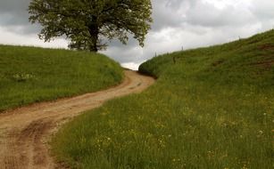 dirt road through a green meadow on a cloudy day