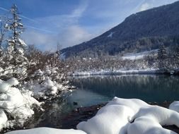 lake zelenci winter landscape