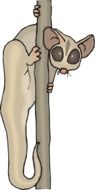 lemur tree plant animal drawing