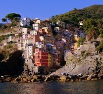 colorful houses in the rocks in Riomaggiore, Italy