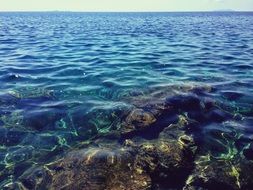 rocky coast of the Adriatic Sea