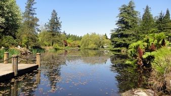 wooden pier on a forest lake with beautiful colorful plants