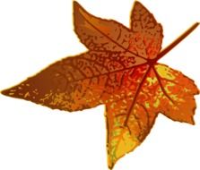 drawing of a brown maple leaf