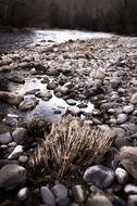 Rocks near the stream