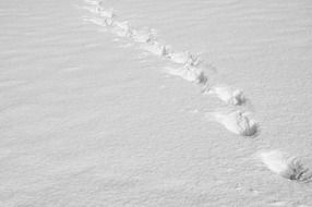 footprints in the snow like a trail