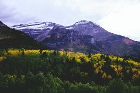 mountain forest in early autumn