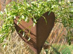 Rusty metal heart in the garden