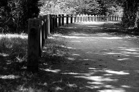 wooden fence along path beneath trees