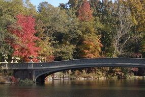 bridge over the river in a picturesque autumn park