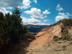 mountain summer romania