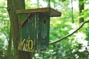 bird feeder in the forest