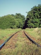 extraordinary path train