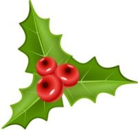 holly with three red berries as a graphic illustration