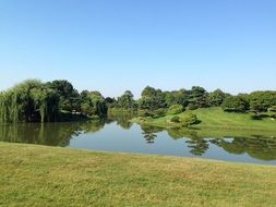 tranquil summer landscape with trees, mirroring at lake
