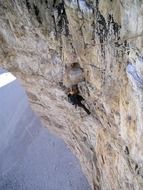 Hasse Brandler north wall
