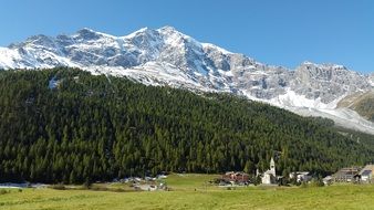 green forest panorama at the foot of the mountain in South Tyrol
