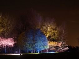 landscape of colorful illumination of trees in a park in England