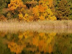 reflection of a colorful autumn forest in a lake