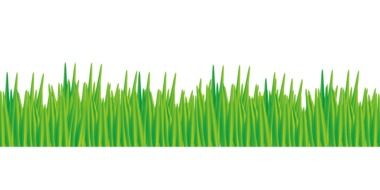 graphic drawing of green grass