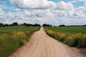 soil road in summer field, country landscape