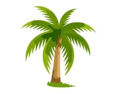 Green palm tree as a clipart