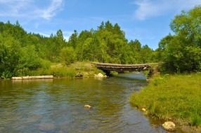 wooden bridge over a river in a dense green forest