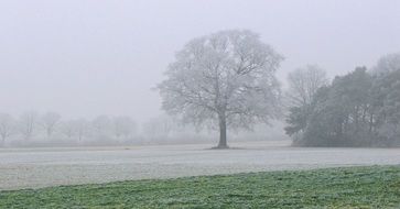 Beautiful and colorful landscape with the fog and snow in winter