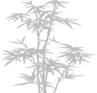 Silhouette of a bamboo plant on a white background