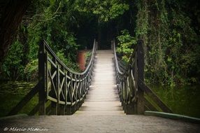bridge rio pond santos