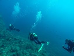 diving sea scuba