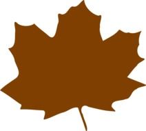 Yellow maple leaf on a white background