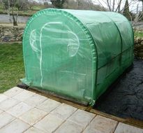 greenhouse in yard at spring