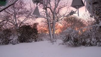 snow sunset winter landscape