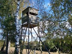 wooden hunting tower in a forest