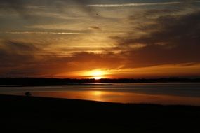 golden sunset in summer