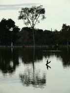 Beautiful Lake in Brasilia in Brazil