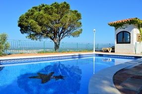 swimming pool reflection tree green