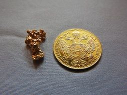 gold coin and nugget
