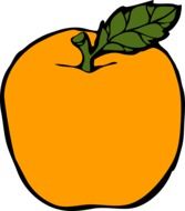 drawing of an orange fruit