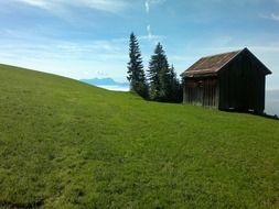 wooden hut on mountain meadow, germany, alm