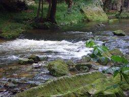 mountain river in the nature of the Czech Republic