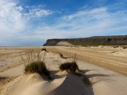 wide endless sandy beach