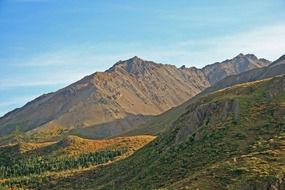 Green forests on the mountains in alaska