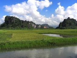 astounding vietnam landscape