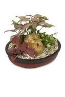 decorative potted flower