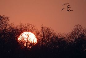 sunset glow in Karnataka