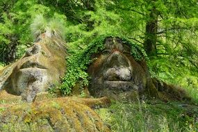 Stones with troll face among the plants