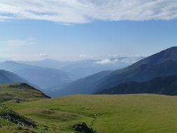 green alpine meadow in Austria