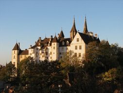 Beautiful historic castle on a colorful hill with plants in Switzerland